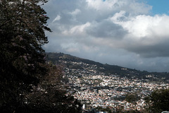 Madeira Funchal May 2016 Xpro2 Touit 50mm Funchal City 1