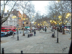 Christmas at Sloane Square