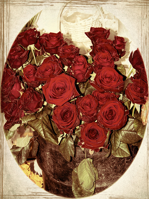 Roses of Valentine