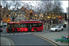 Christmas lights at Sloane Square