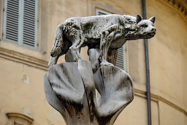 Tuscany 2015 Siena 12 Romulus & Remus XPro1