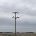 Xcel Energy - Turner County, SD