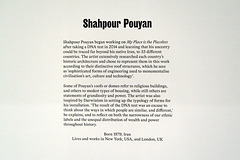 IMG 9633-001-Shahpour Pouyan