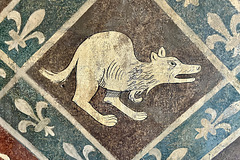 Florence 2023 – Palazzo Davanzati – Dog