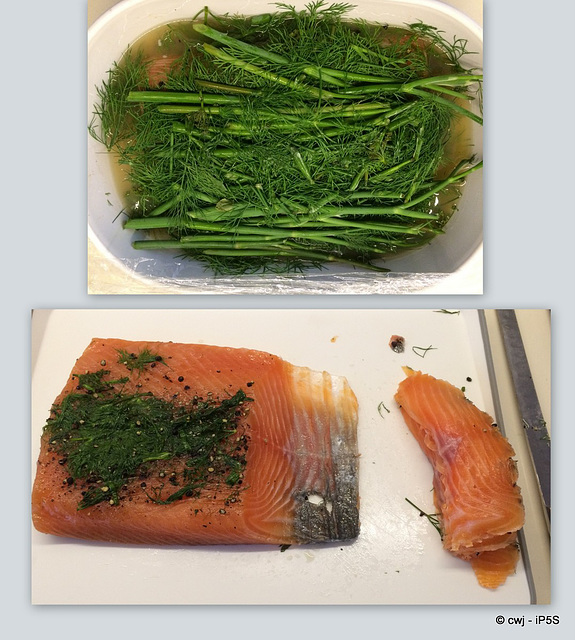 Why buy Gravadlax when it is so simple to make?