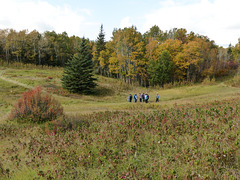 Bunchberry Meadows, Nature Conservancy of Canada