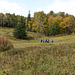 Bunchberry Meadows, Nature Conservancy of Canada