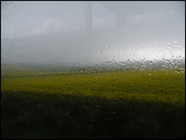 rain in Dorset