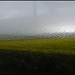 rain in Dorset