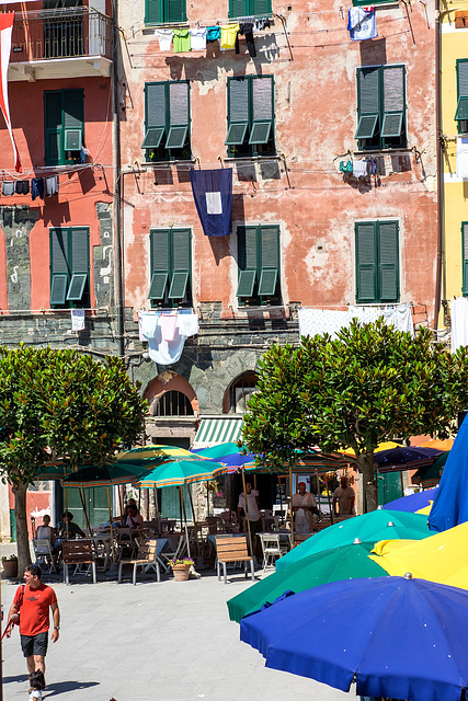 Vernazza, Cinque Terre, Italy(7)