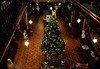 A Festive look at The Russell-Cotes Museum