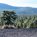 Sunset crater1