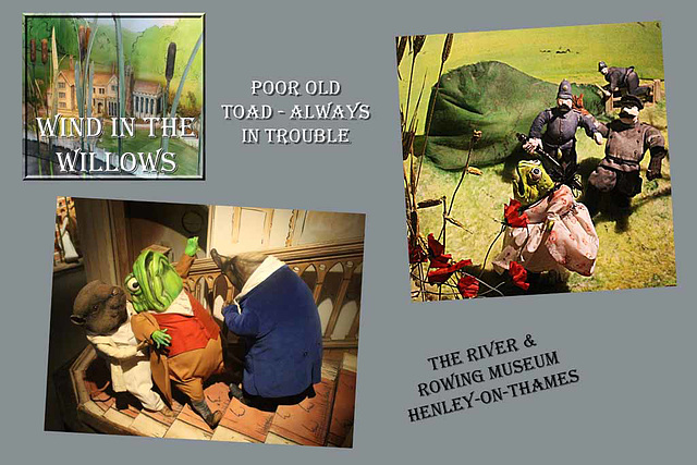 Wind in the Willows - Poor old Toad  - Henley-on-Thames - 19.8.2015