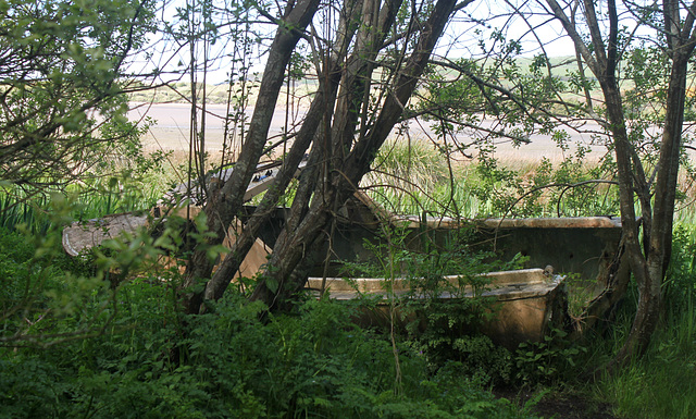 Abandoned Boat
