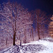 Snowy night moonlit infrared