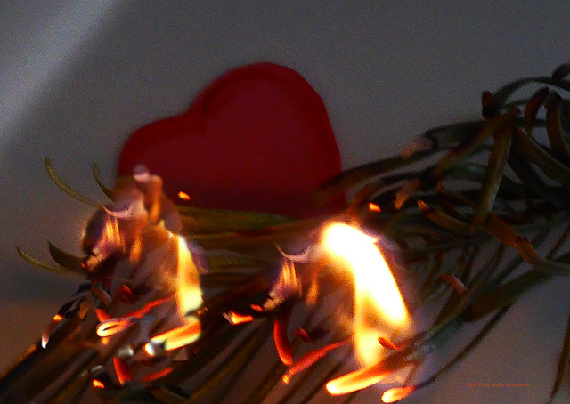Das  Herz brennt