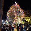 Columbus, Mississippi community Christmas tree