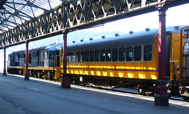 Taieri Gorge Railway (34) - 1 March 2015