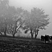 Wanderer im Herbstnebel - Hikers in autumn fog