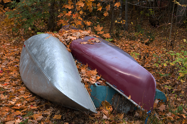 Canoes off-season