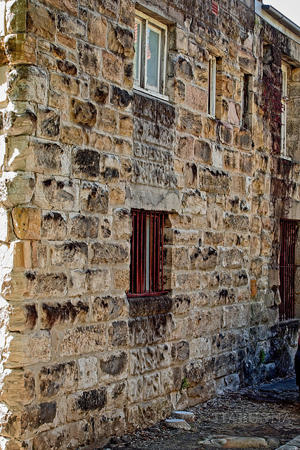 Sydney wall