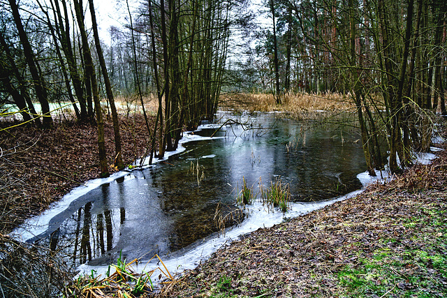 Im Reich des Bibers - In the realm of the beaver - PiP