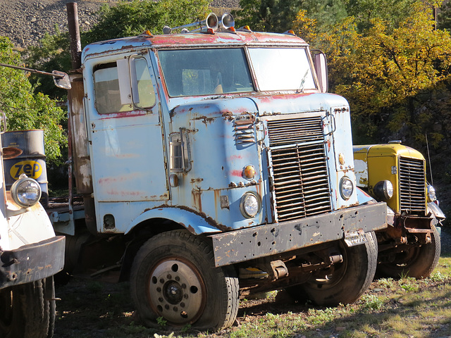 Old International Harvester COE (cab over engine) Truck