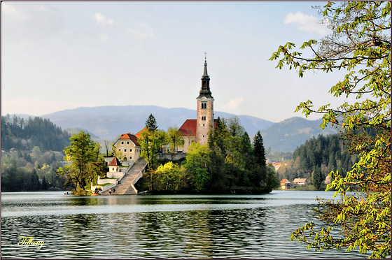 Bled - Church On The Lake