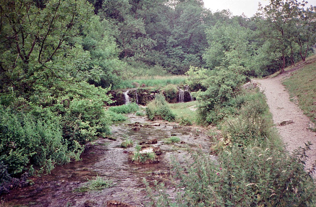 River Lathkill (Scan from July 1991)