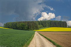 Crops and Clouds (330°)