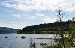 am Schluchsee in der Nähe von Aha (© Buelipix)