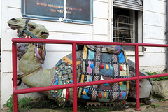 IMG 0027-001-Rug Shop Camel