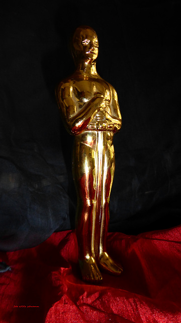 Mein Oscar auf dem Roten Teppich