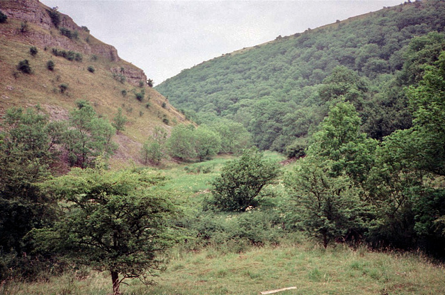 Lathkill Dale (Scan from July 1991)