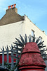 IMG 0043-001-Spikes