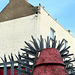 IMG 0043-001-Spikes