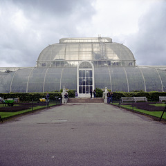 Palm House Entry