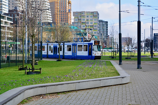 GVB tram 833 at Amsterdam-De Boelelaan