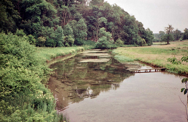River Lathkill looking downstream from Conksbury Bridge (Scan from July 1991)(Scan from July 1991)