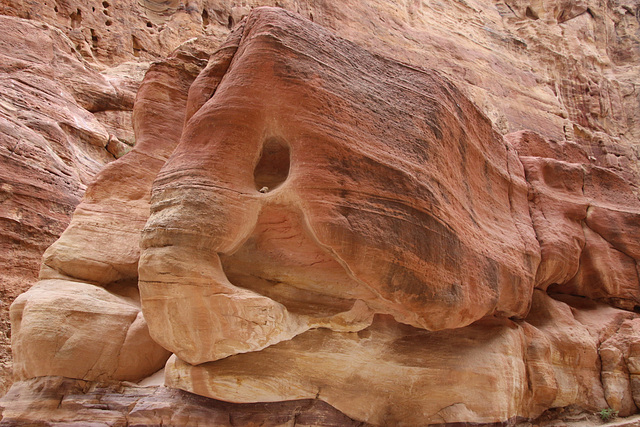 Elephant in the sandstone