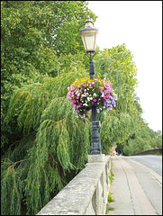 floral lamp post