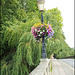 floral lamp post