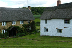 cottages in Ashburton Lane
