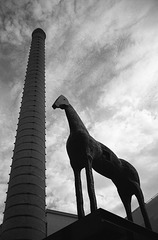 Cavallo di Modena