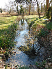 Le ruisseau du parc du Bosquet