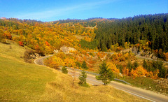 Cesta u jesenjim bojama