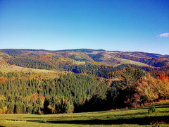 Autumn panorama