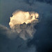 Eine Gewitterwolke kurz vor der 'Explosion'.  A storm cloud shortly before the 'explosion'. ©UdoSm