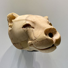 Heraklion Archaeological Museum 2021 – Lioness