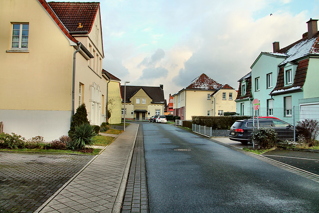Vinzenzstraße (Siedlung Fürst Leopold, Hervest-Dorsten) / 4.02.2018